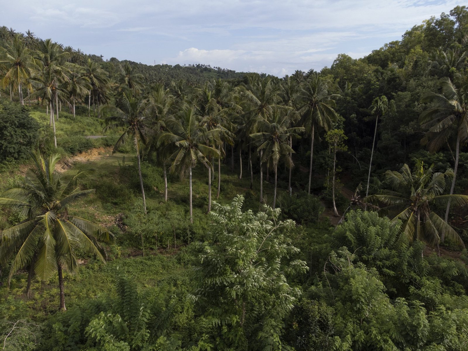 Private Land | Jungle & Ocean Views Minutes From Kuta’s Beaches